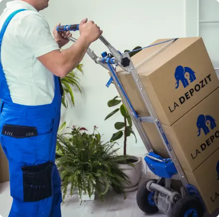 servicii mutari
