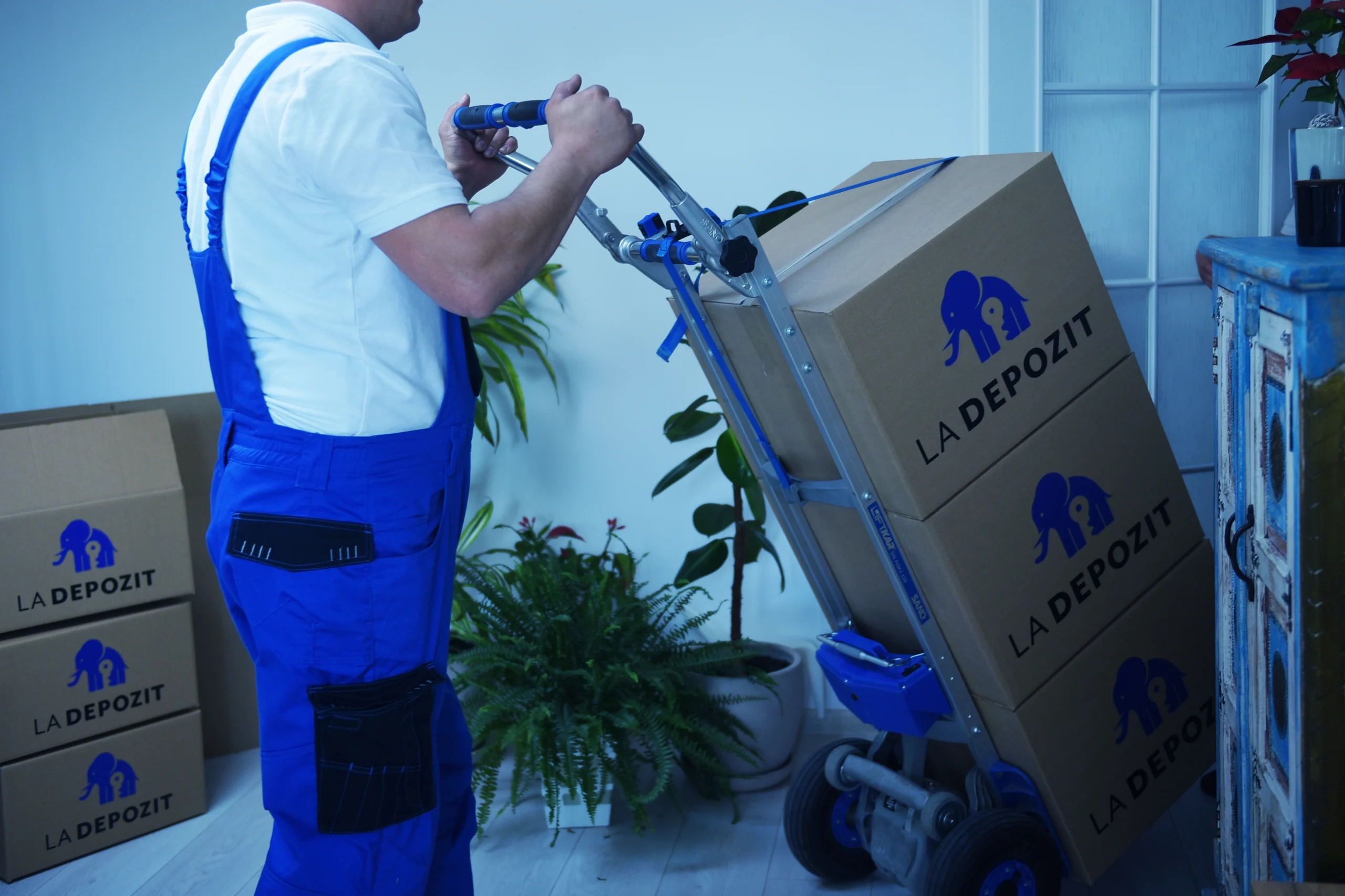 servicii manipulare La Depozit